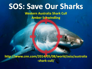 Shark Cull Pres_2