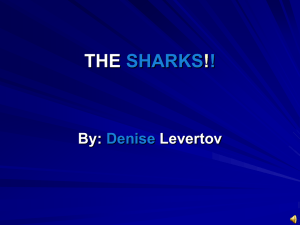 The Sharks Poem by Denise Levertov: Analysis & Themes