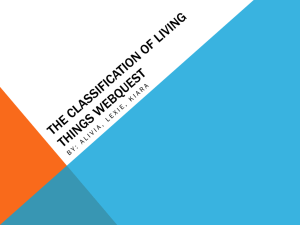 Classification of Living Things: Kingdoms & Systems