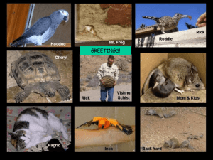 Rick Miller: Geology Career & Research Presentation