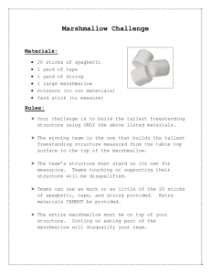 Marshmallow Challenge: Team Building Activity Instructions