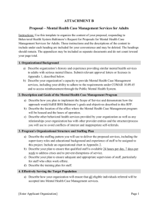 Mental Health Case Management Proposal Template