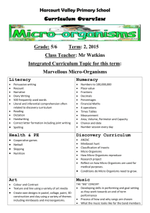 5/6 Term: 2, 2015 Class Teacher: Mr Watkins Integrated Curriculum