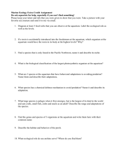 Marine Ecology Extra Credit Assignment