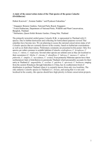 A study of the conservation status of Thai species of the genus