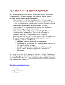 Alternative Assignment for those unable to attend the coastal trip