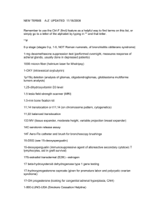NEW TERMS A-Z UPDATED 04/03/2007