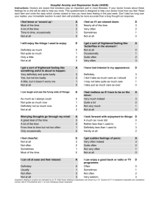 HADS: Hospital Anxiety and Depression Scale Questionnaire