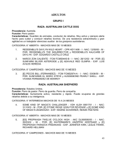 Catálogo Completo de la Mundial en Archivo Word