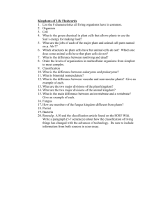 Kingdoms Flashcards