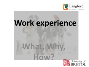 Work experience