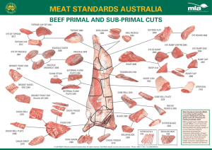MSA Beef Cuts Guide: Primal & Sub-Primal Cuts