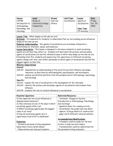 Socialization Agents: HSP3M Lesson Plan for Grade 11