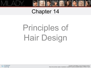 Hair Design Principles: Cosmetology Chapter