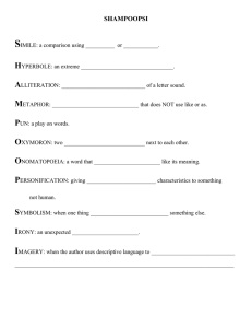 Literary Devices Worksheet: Simile, Metaphor, Irony & More