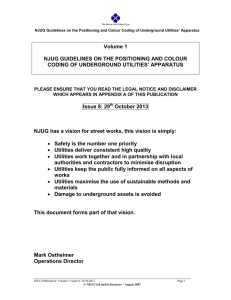 Volume 1: NJUG Guidelines on the Positioning and Colour Coding