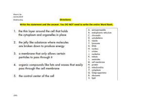 Cell Structure Worksheet