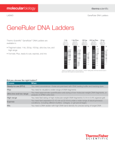 GeneRuler DNA Ladders: Thermo Scientific Product Guide