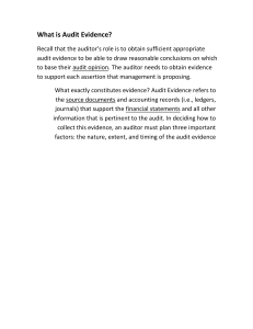 What is Audit Evidence?