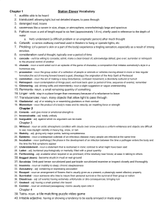 Station Eleven Vocabulary List