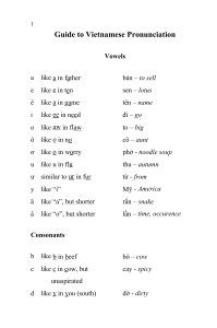 Vietnamese Pronunciation Guide