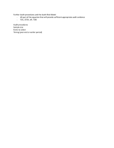 Audit Procedures & Risk Model: A Concise Overview