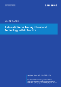 AI Nerve Tracing Ultrasound in Pain Practice