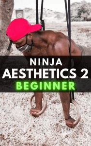 Ninja Aesthetics 2: Beginner Ring Workout Program