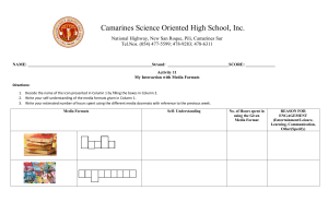 Media Interaction Worksheet - High School Activity