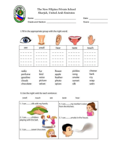 Five Senses Worksheet for Elementary School