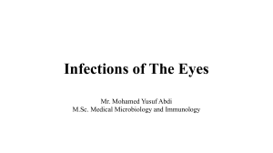 Eye Infections: Causes, Symptoms & Treatment