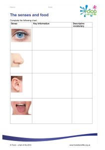 Senses and Food Worksheet