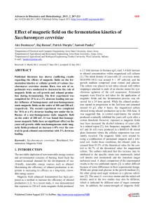 Magnetic Field Effects on Yeast Fermentation Kinetics