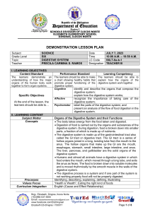 6th Grade Science Lesson Plan: Digestive System