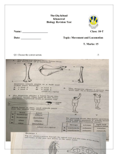 Biology Revision Test: Movement & Locomotion (Grade 10)