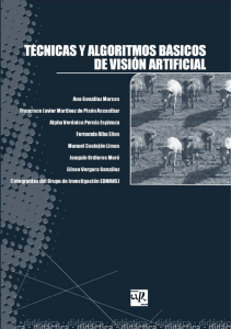Visión Artificial: Técnicas y Algoritmos Básicos