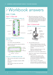 Cambridge Science 7: Workbook Answers - Cells & Materials