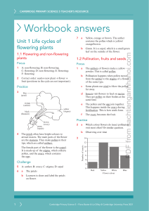 Cambridge Primary Science 5 Workbook Answers: Plant Life Cycles