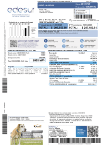 Factura de Servicios Públicos Edesur - Consumo y Cargos de Electricidad